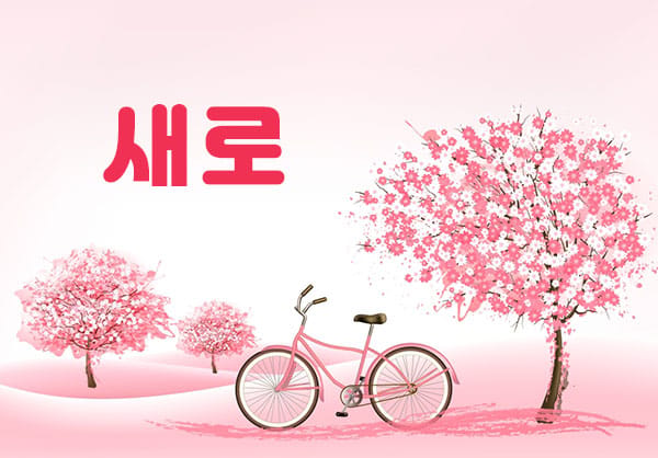 시흥1인샵&홈-새로스웨디시-연출사진