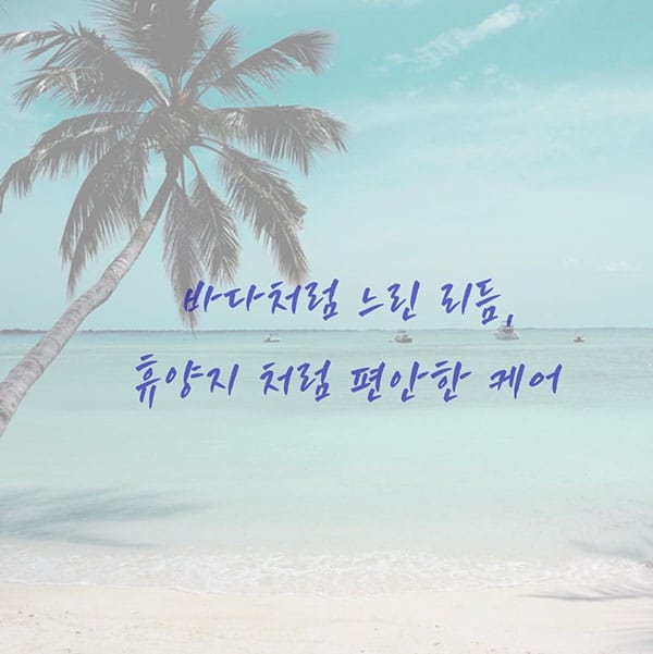 세종.나성2인샵- 플로&메리안 -샵사진