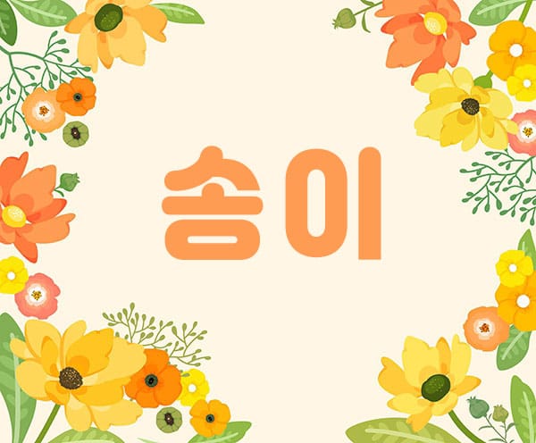 안양.평촌1인샵-송이-연출사진