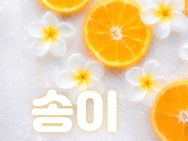안양.평촌1인샵-송이-연출사진