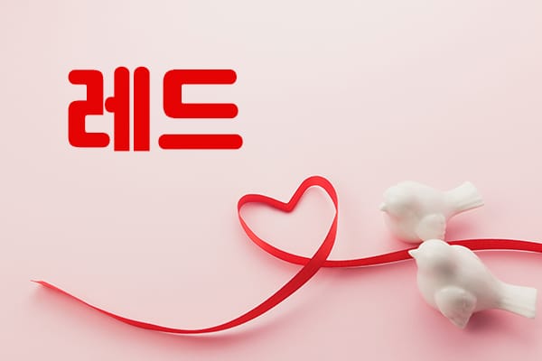 강원.원주1인샵-레드-연출사진