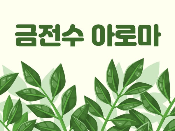 전주.인후동- 금전수아로마 -연출사진