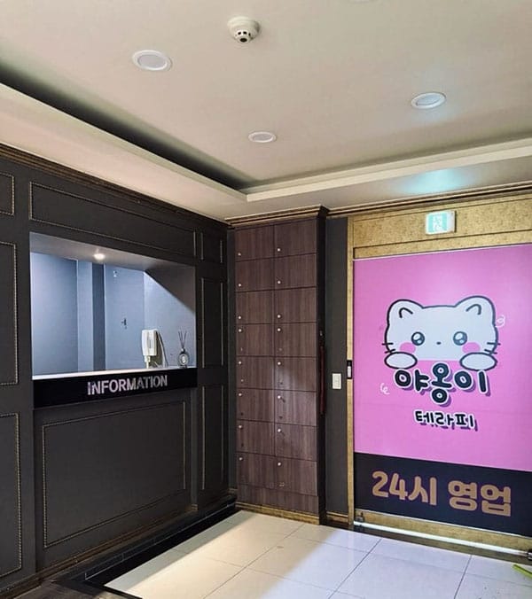 인천.중구- 야옹이테라피 -샵사진-5번째 이미지