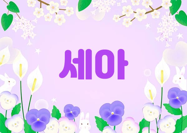 분당.정자1인샵-세아-연출사진